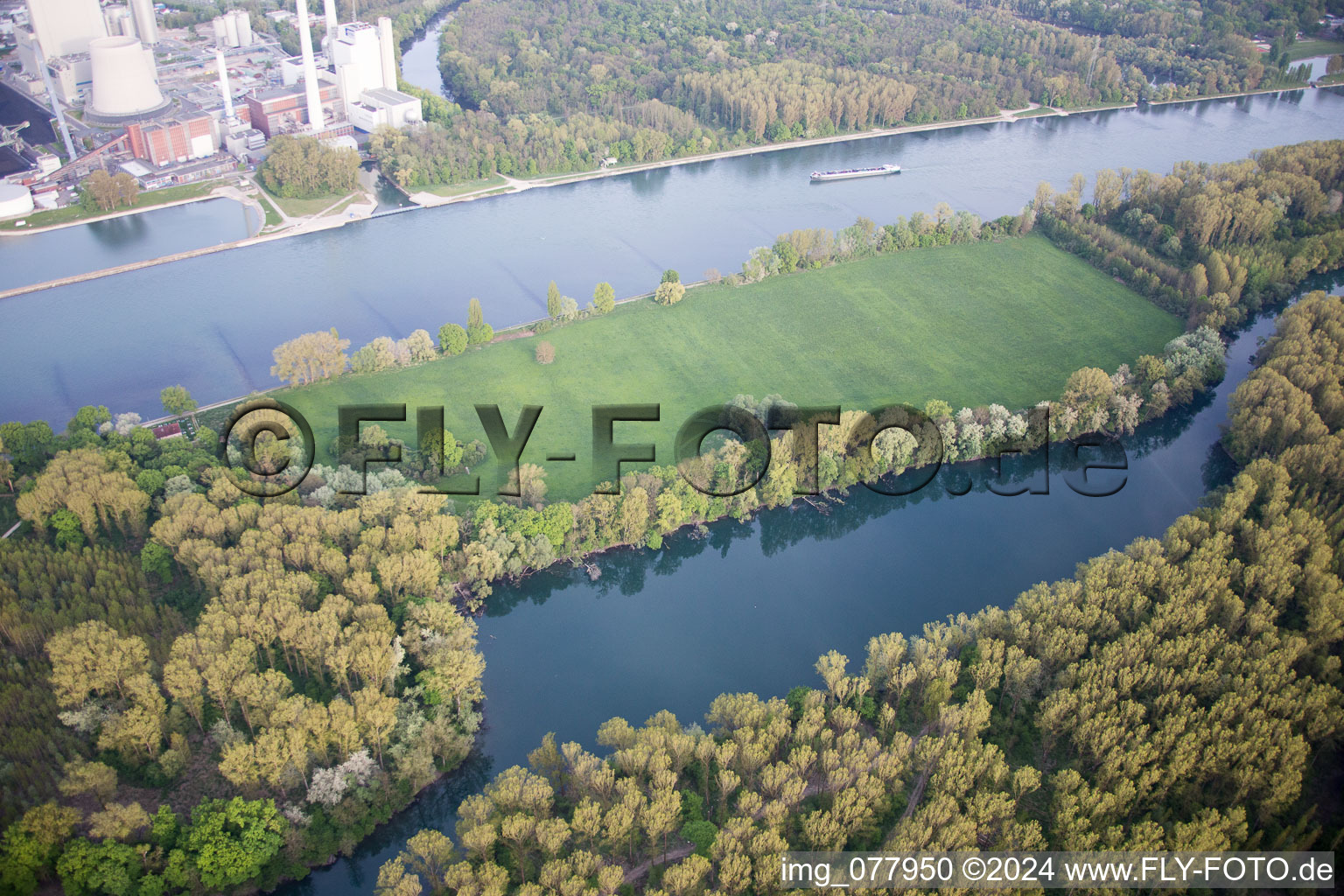 Aerial photograpy of District Maximiliansau in Wörth am Rhein in the state Rhineland-Palatinate, Germany