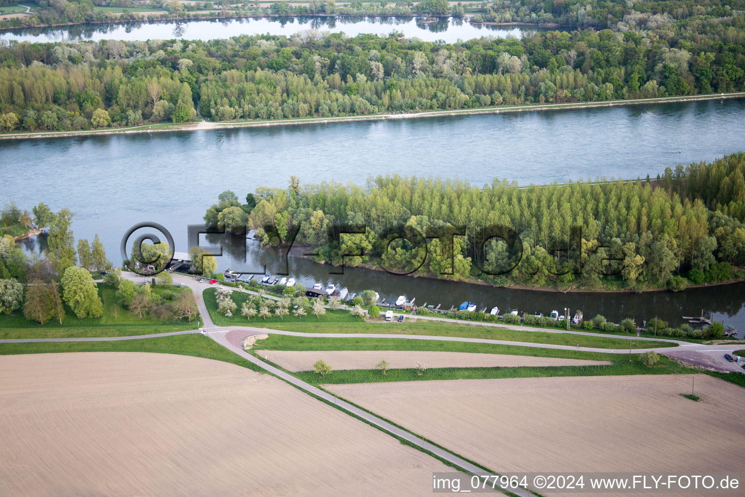 Lauter estuary in the district Neuburg in Neuburg am Rhein in the state Rhineland-Palatinate, Germany