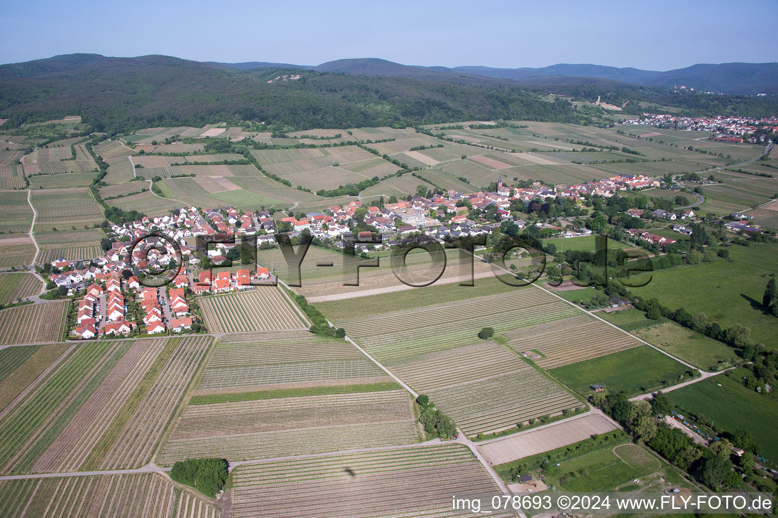 Forst an der Weinstraße in the state Rhineland-Palatinate, Germany