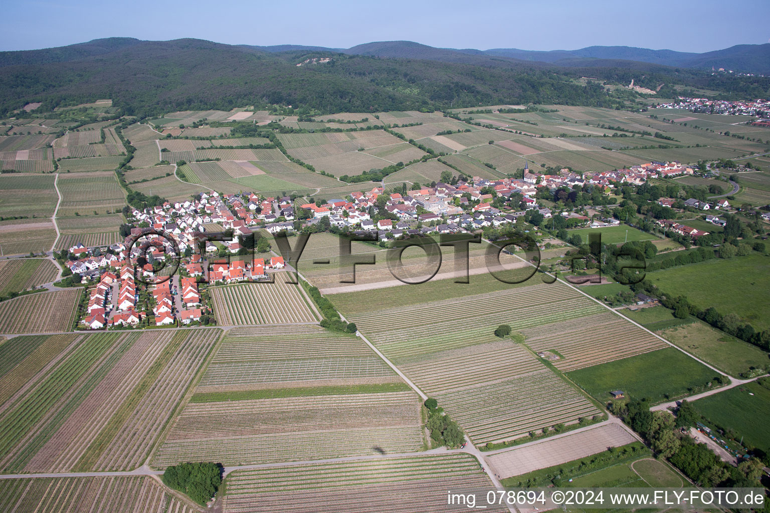 Aerial view of Forst an der Weinstraße in the state Rhineland-Palatinate, Germany