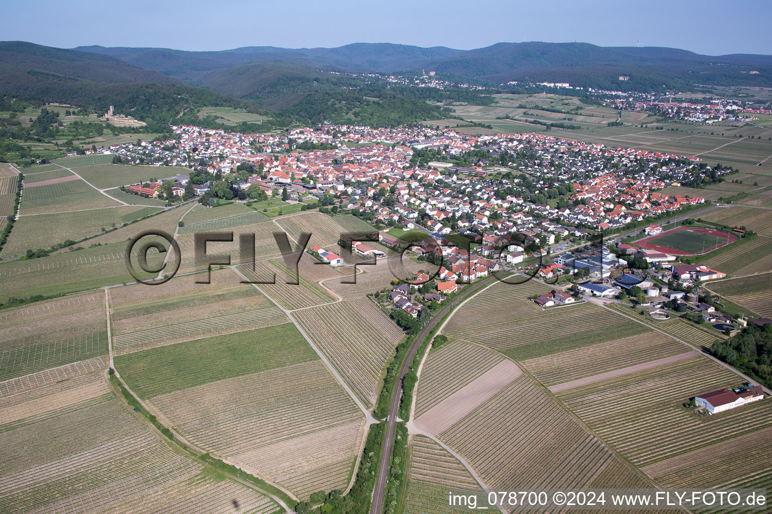 Forst an der Weinstraße in the state Rhineland-Palatinate, Germany from above