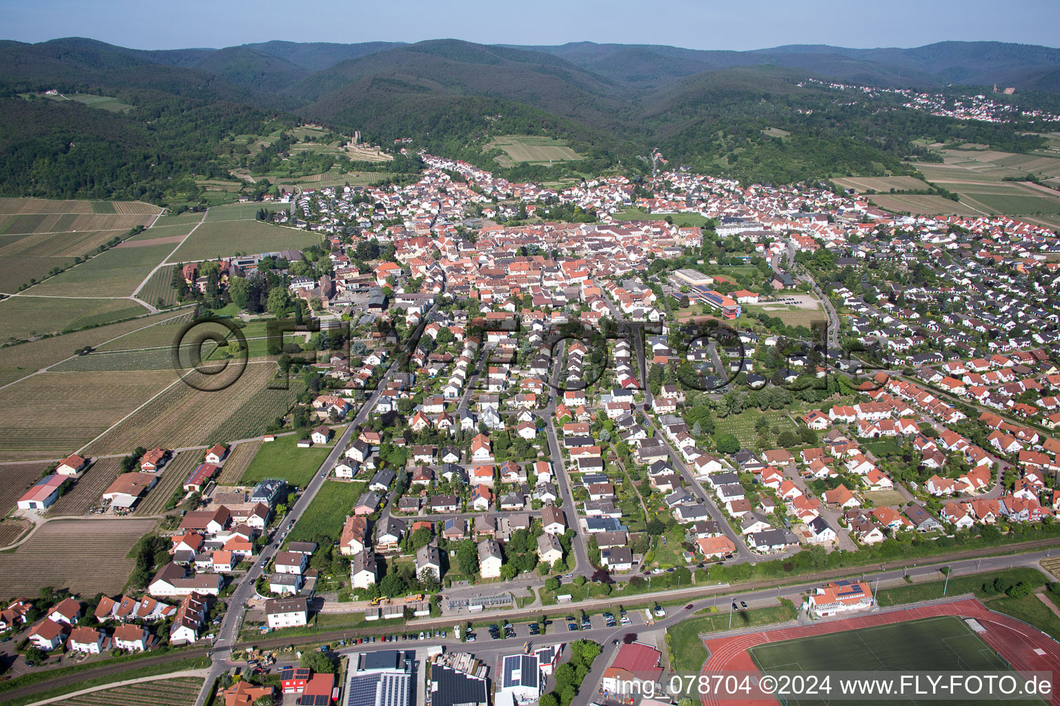 Aerial view of Wachenheim an der Weinstraße in the state Rhineland-Palatinate, Germany