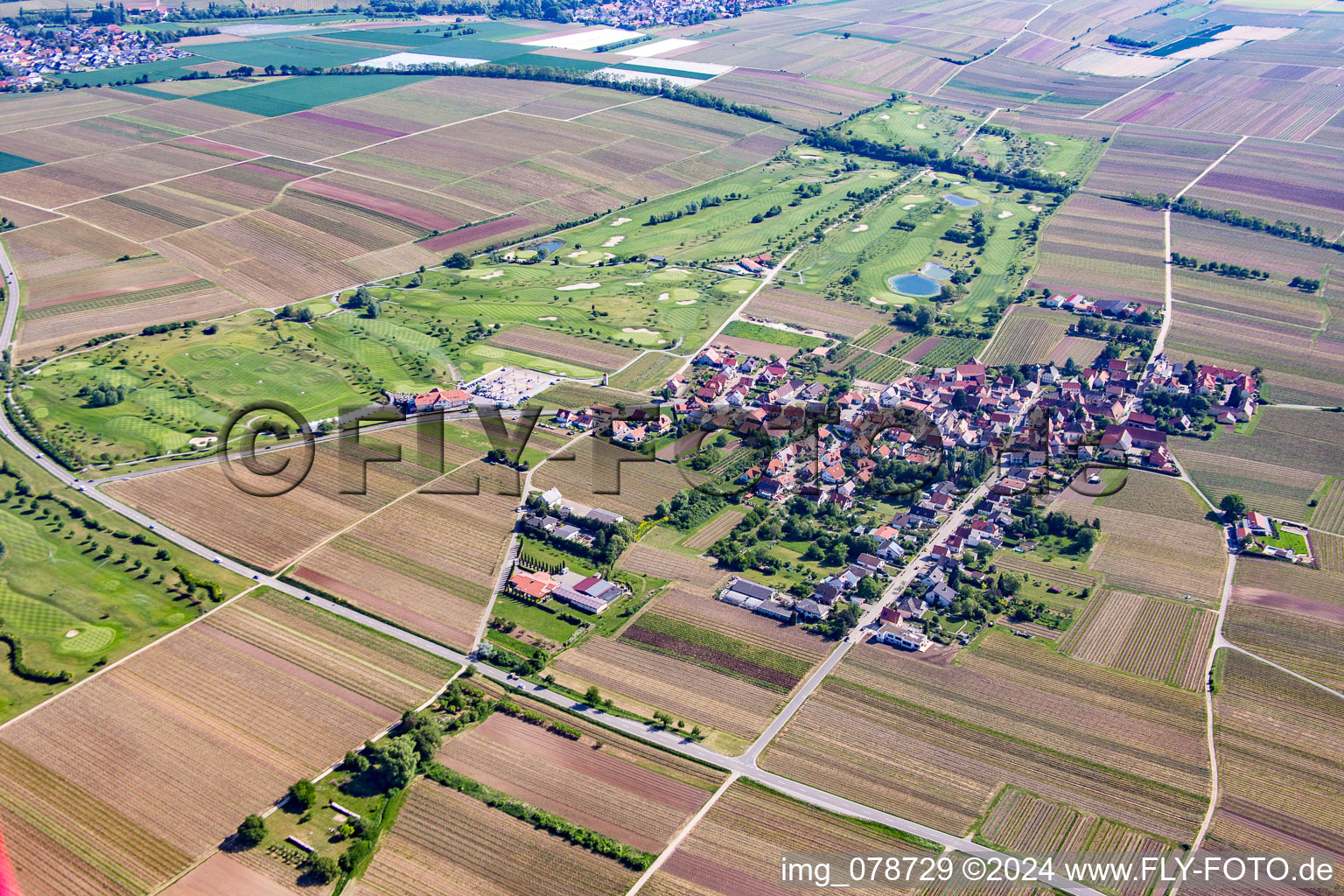 Aerial view of Golf course in Dackenheim in the state Rhineland-Palatinate, Germany