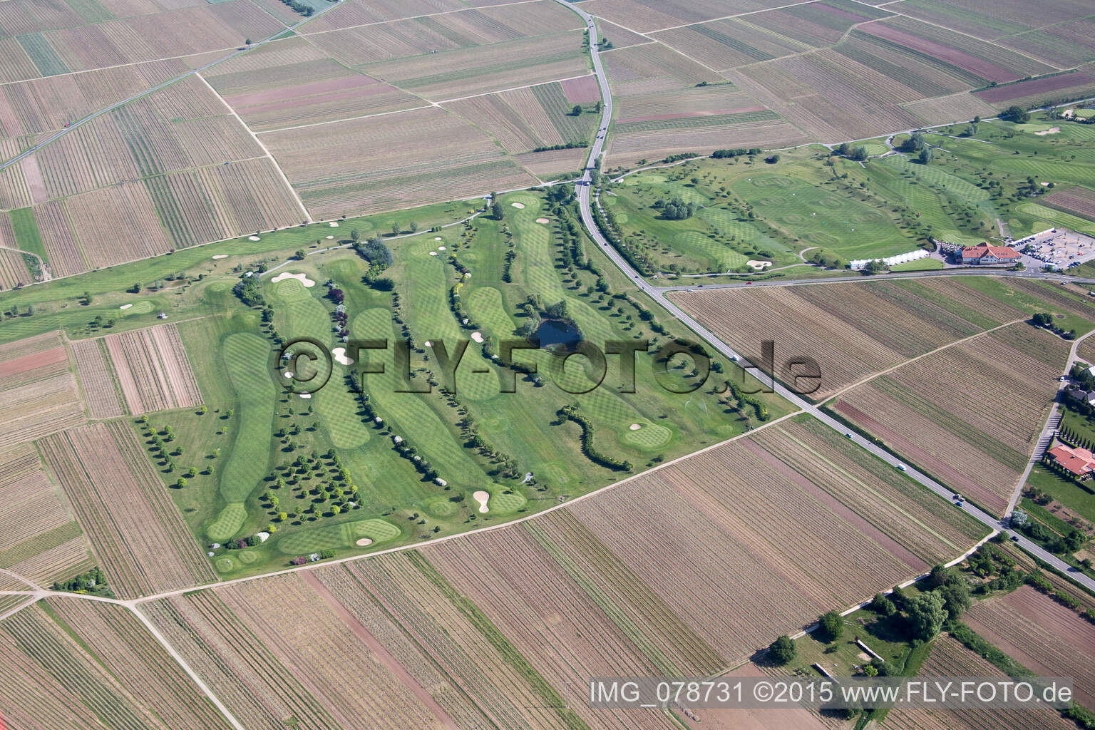 Oblique view of Golf course in Dackenheim in the state Rhineland-Palatinate, Germany