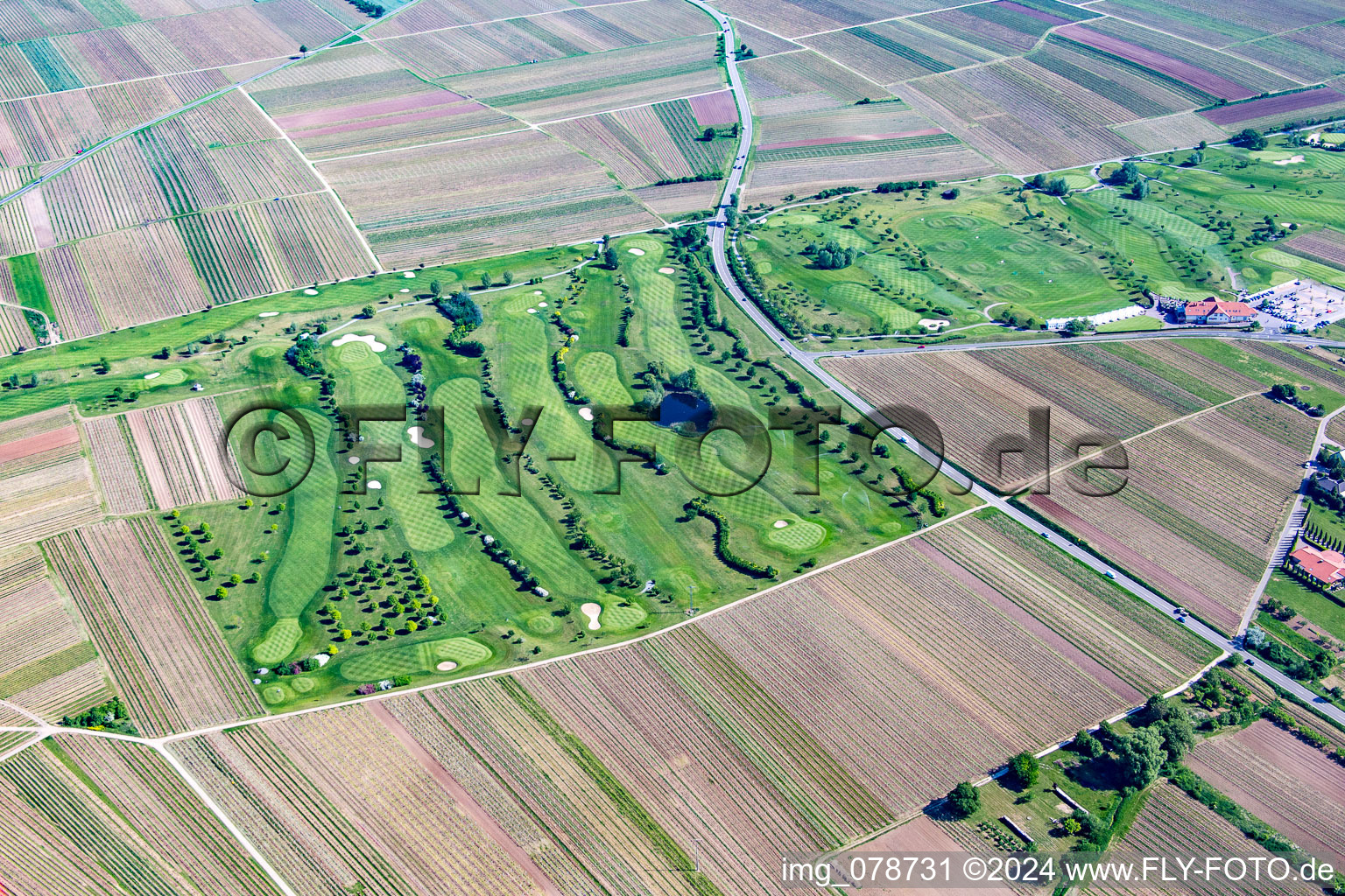 Oblique view of Golf course in Dackenheim in the state Rhineland-Palatinate, Germany