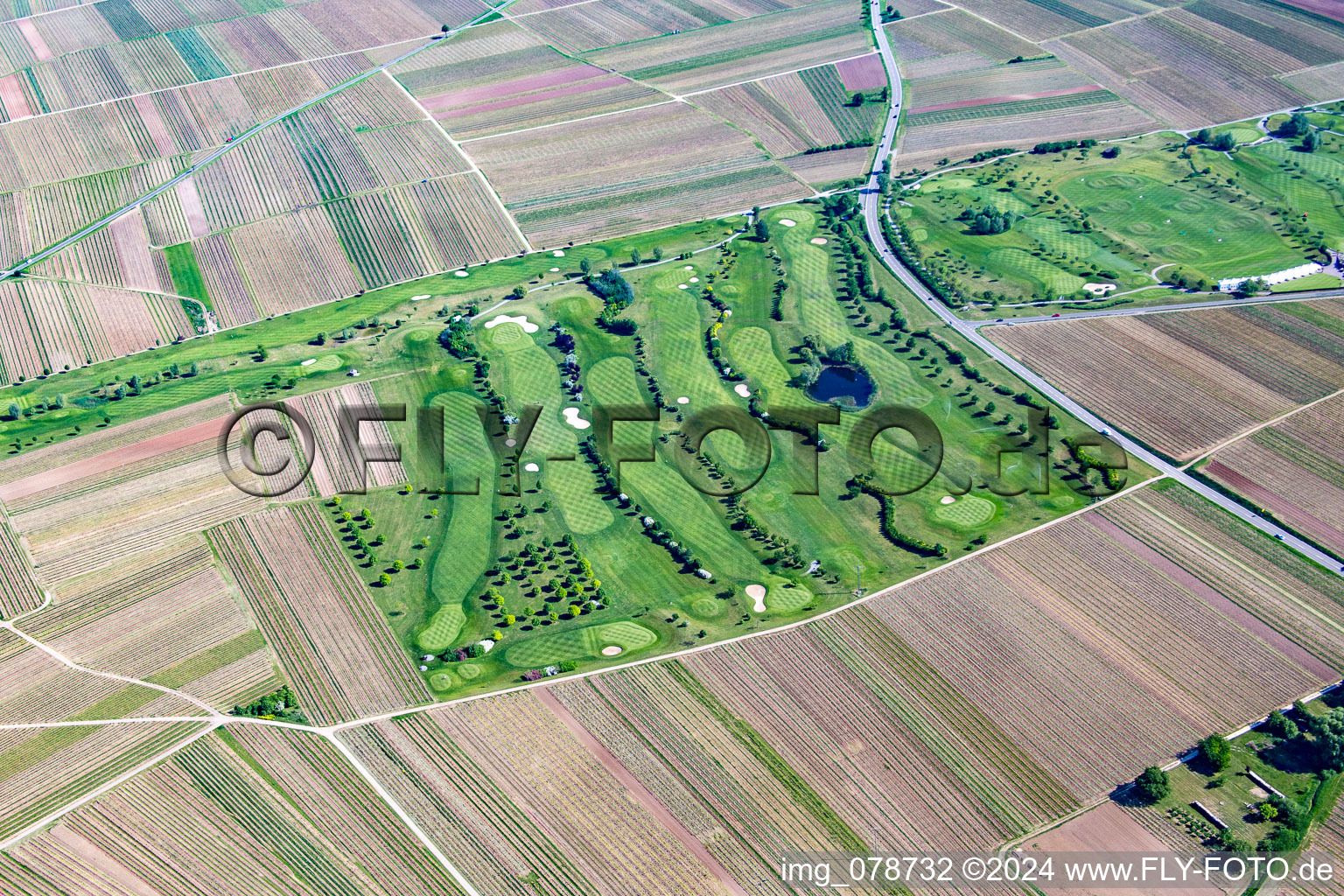 Golf course in Dackenheim in the state Rhineland-Palatinate, Germany from above