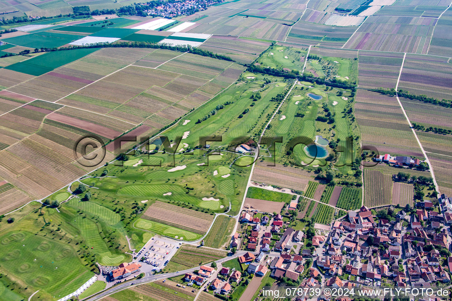 Golf course in Dackenheim in the state Rhineland-Palatinate, Germany from the plane