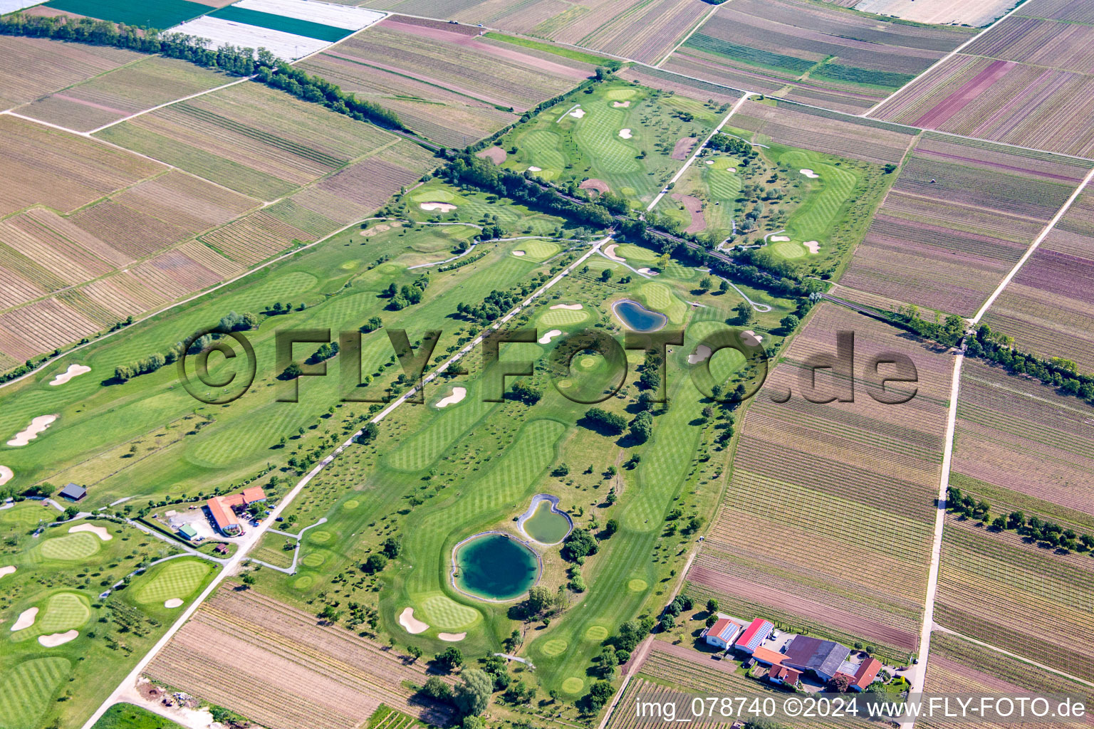 Bird's eye view of Golf course in Dackenheim in the state Rhineland-Palatinate, Germany