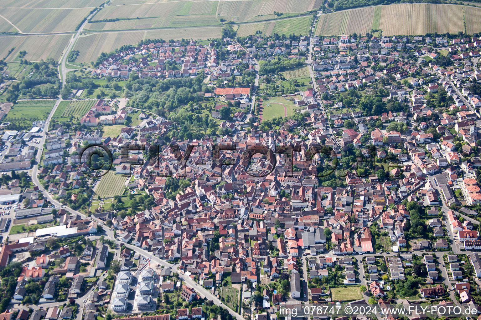 Aerial view of Freinsheim in the state Rhineland-Palatinate, Germany