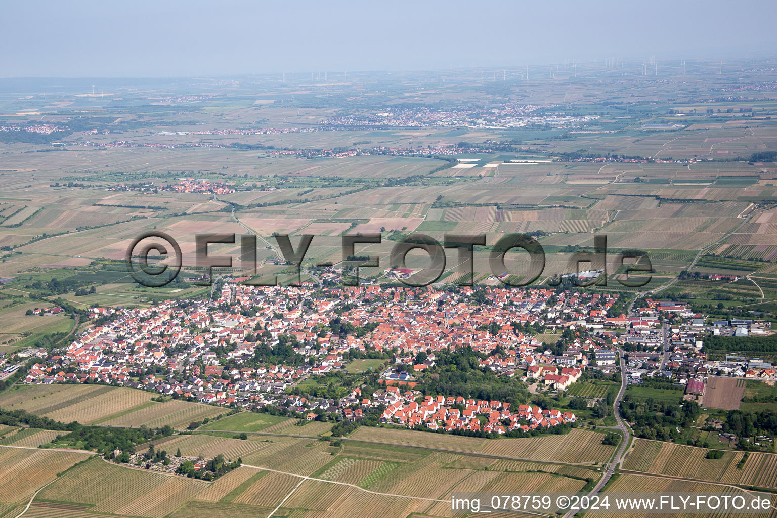 Oblique view of Freinsheim in the state Rhineland-Palatinate, Germany