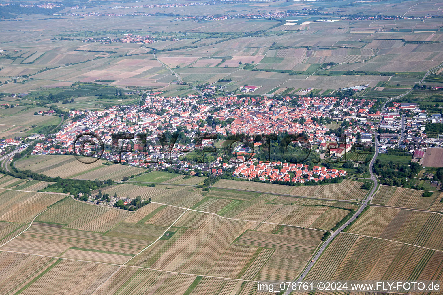 Freinsheim in the state Rhineland-Palatinate, Germany from above