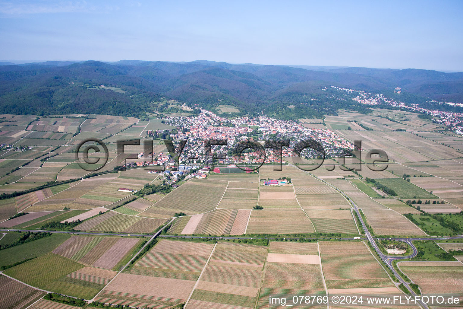 Wachenheim in Wachenheim an der Weinstraße in the state Rhineland-Palatinate, Germany