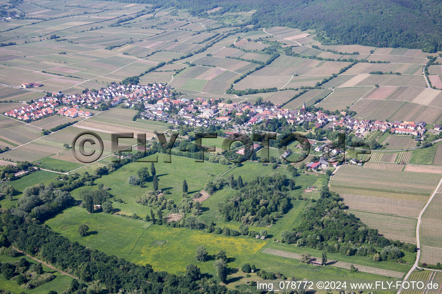 Village - view on the edge of wine yards in Forst an der Weinstrasse in the state Rhineland-Palatinate, Germany
