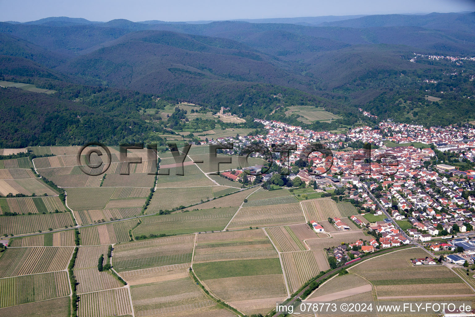 Aerial view of Wachenheim in Wachenheim an der Weinstraße in the state Rhineland-Palatinate, Germany