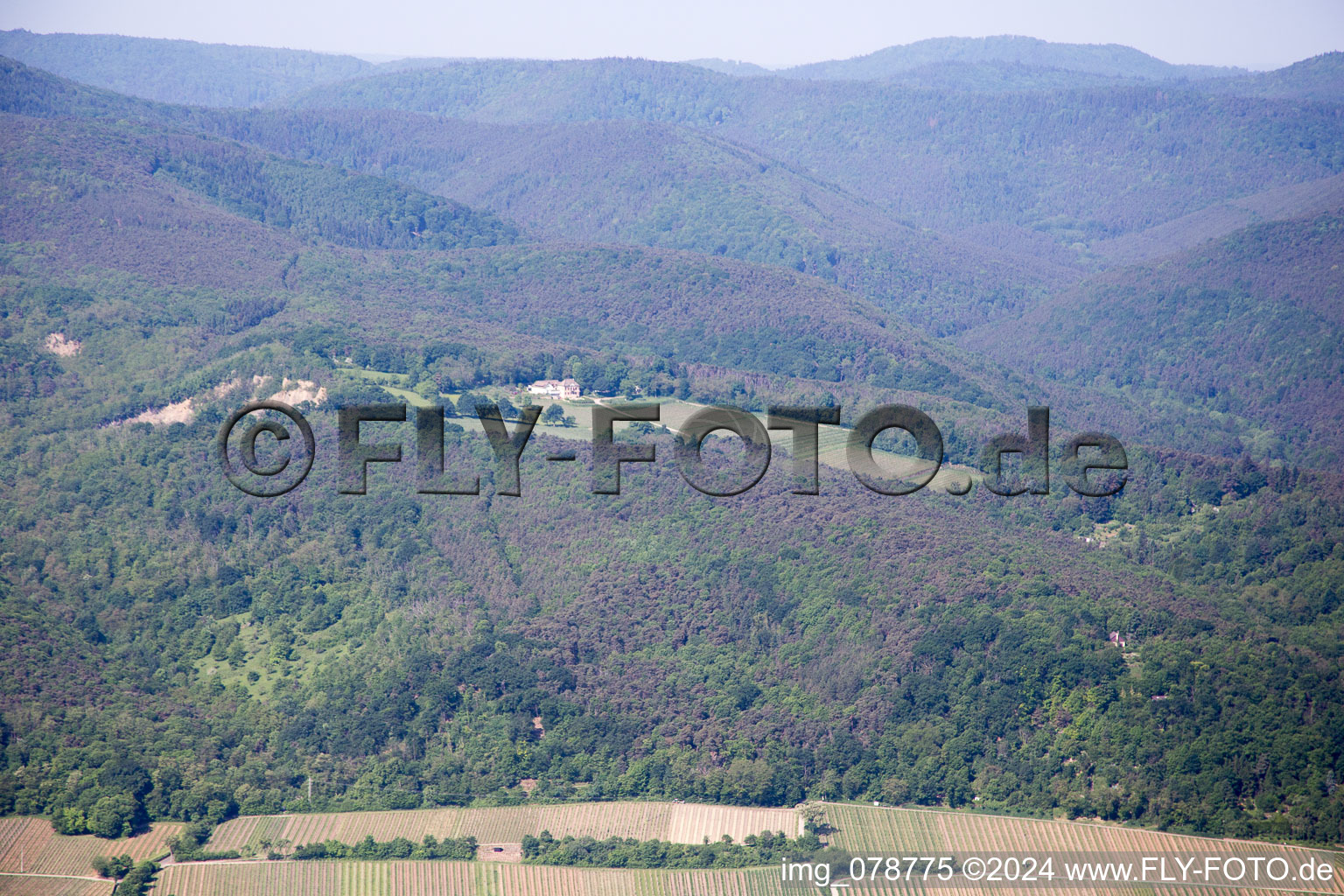 Forst an der Weinstraße in the state Rhineland-Palatinate, Germany seen from above