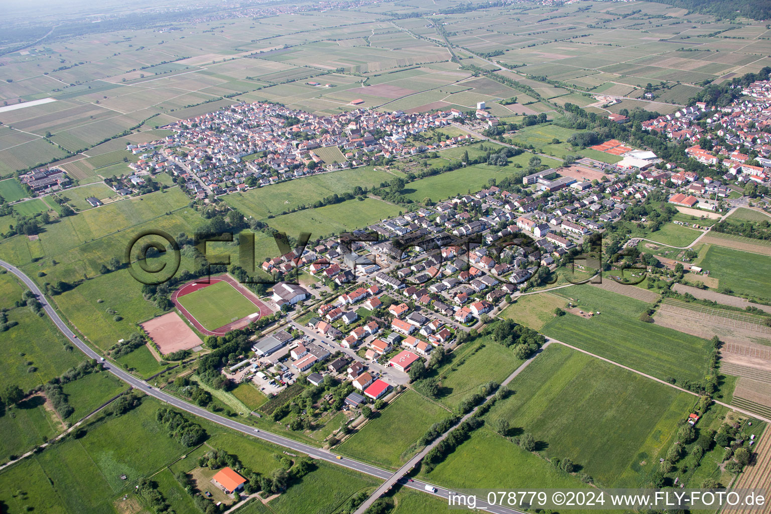 Aerial view of Deidesheim in the state Rhineland-Palatinate, Germany