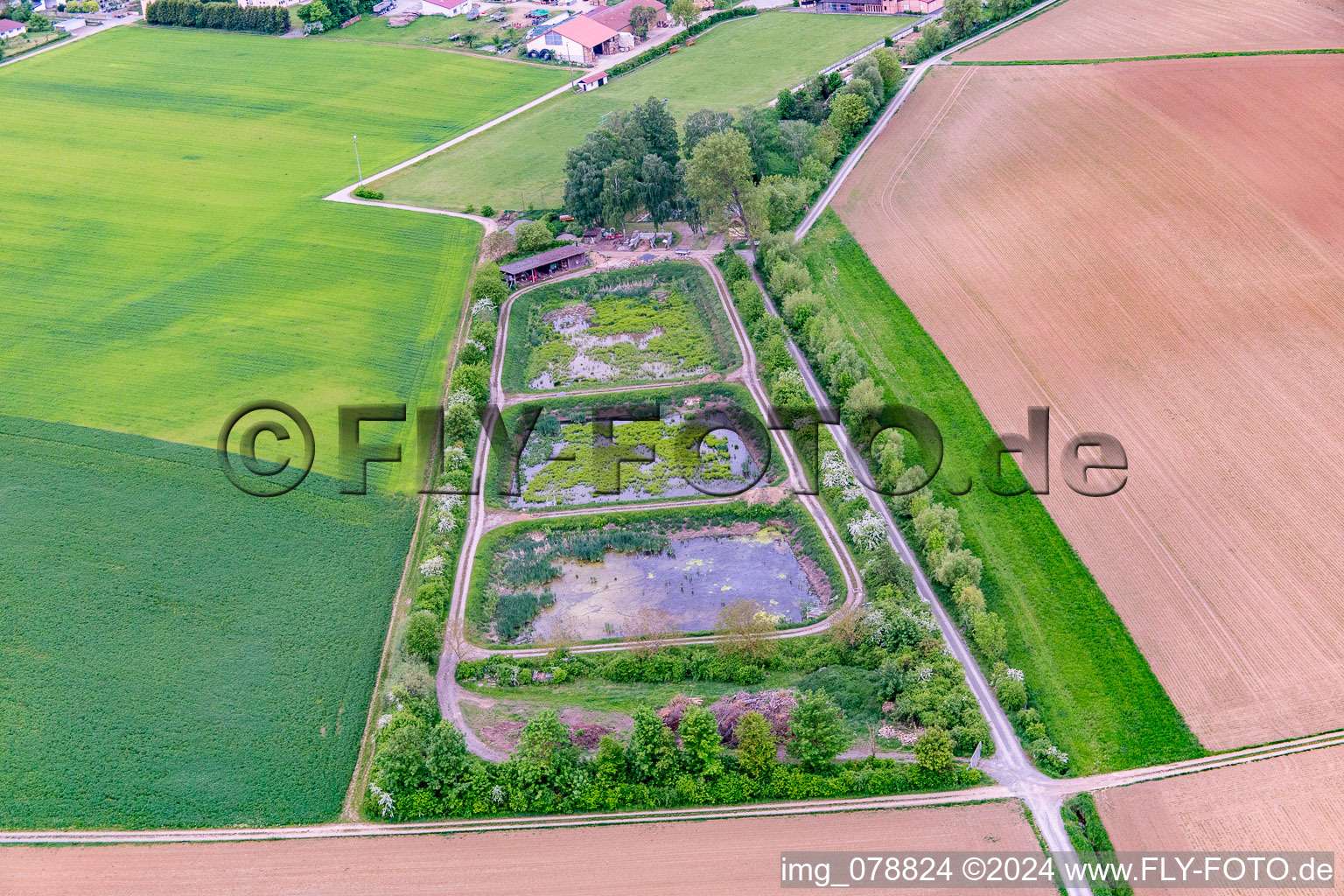 Fish ponds in the district Hausen in Hausen bei Würzburg in the state Bavaria, Germany