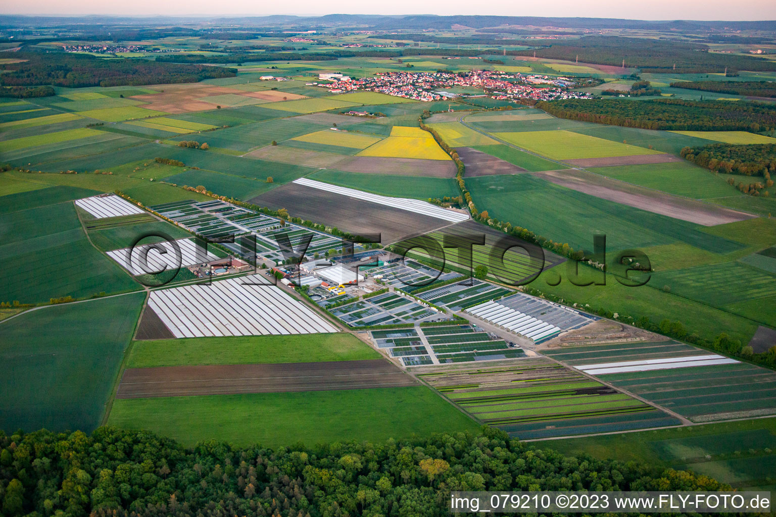 Colorful bedding rows on a field for flowering of Gaertnerei Dieter Denzer in Gochsheim in the state Bavaria, Germany