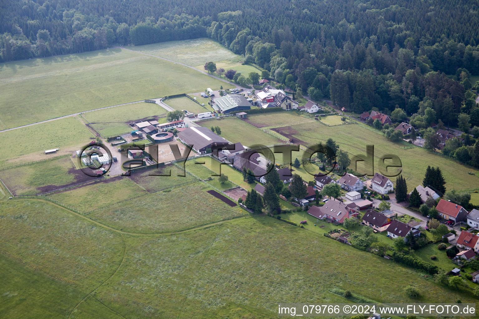 Stud Dobel in Dobel in the state Baden-Wuerttemberg, Germany