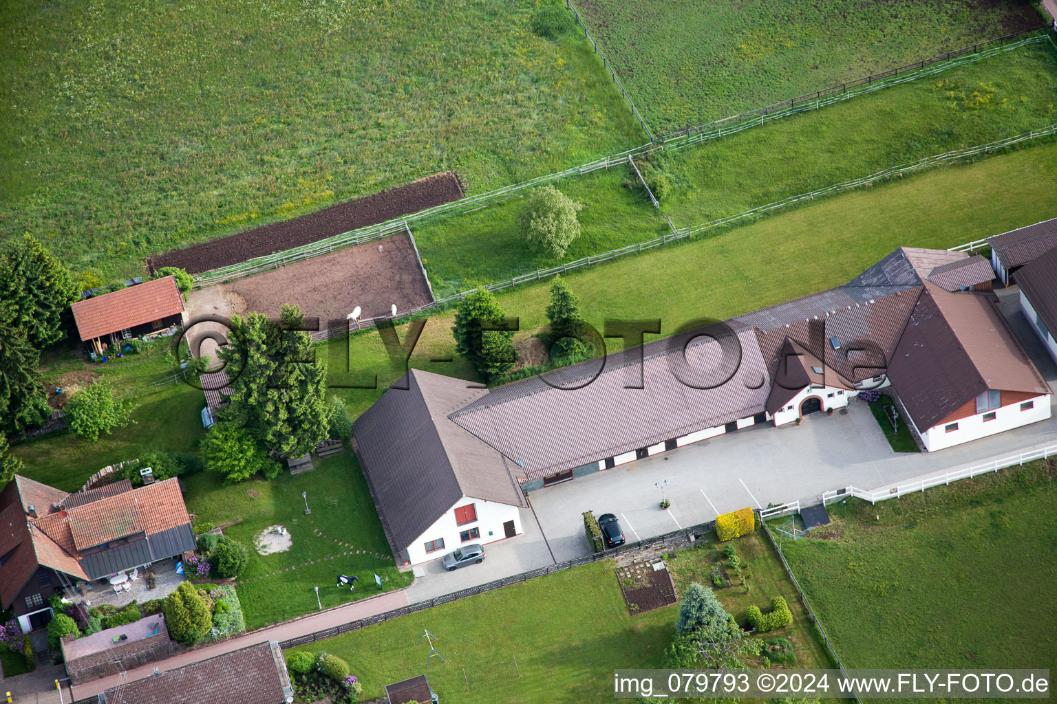 Stud Dobel in Dobel in the state Baden-Wuerttemberg, Germany from a drone