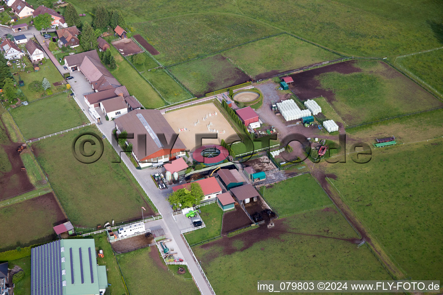 Oblique view of Stud Dobel in Dobel in the state Baden-Wuerttemberg, Germany