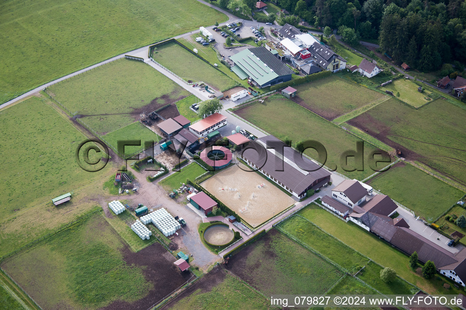 Oblique view of Stud Dobel in Dobel in the state Baden-Wuerttemberg, Germany