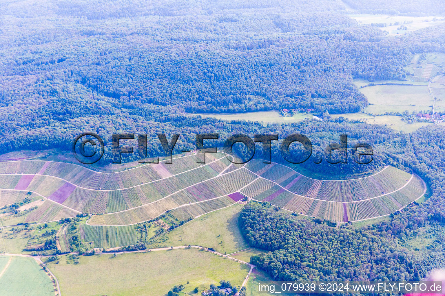 Fields of wine cultivation landscape in Sternenfels in the state Baden-Wurttemberg, Germany