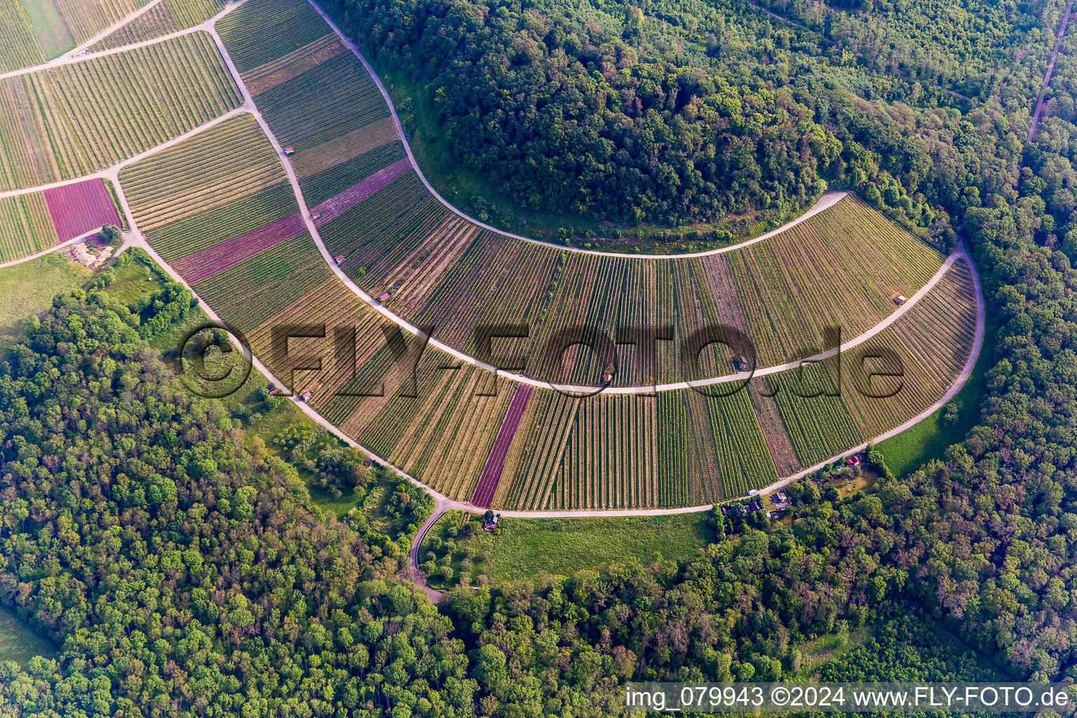 Aerial photograpy of Fields of wine cultivation landscape in Sternenfels in the state Baden-Wurttemberg, Germany
