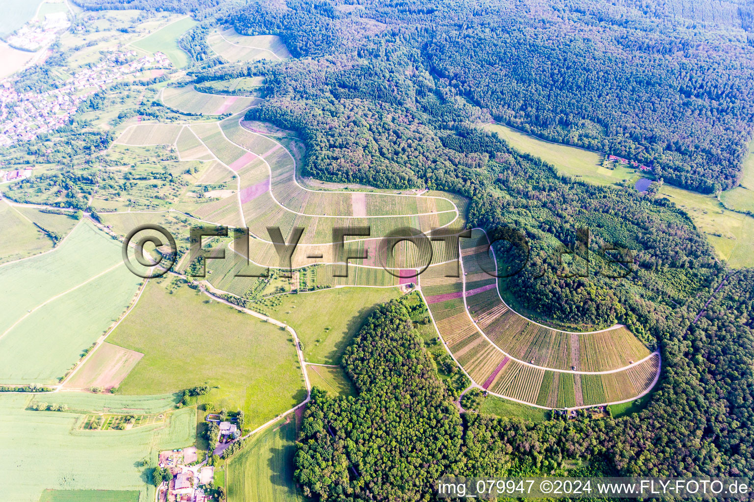 Fields of wine cultivation landscape in Sternenfels in the state Baden-Wurttemberg, Germany from above