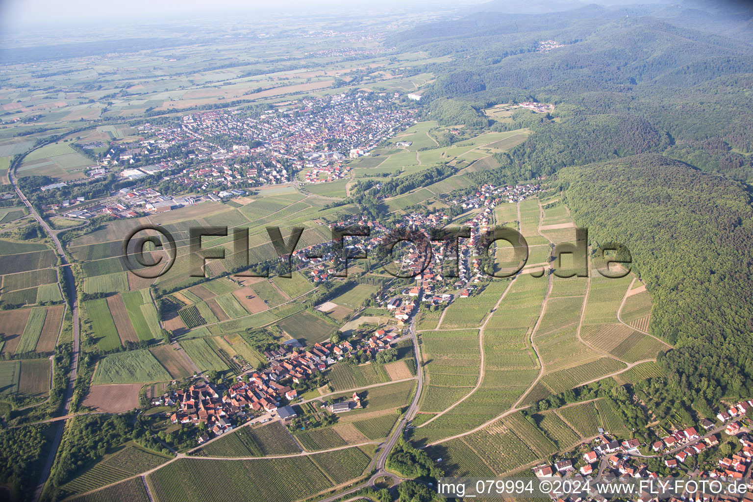 Aerial view of District Pleisweiler in Pleisweiler-Oberhofen in the state Rhineland-Palatinate, Germany