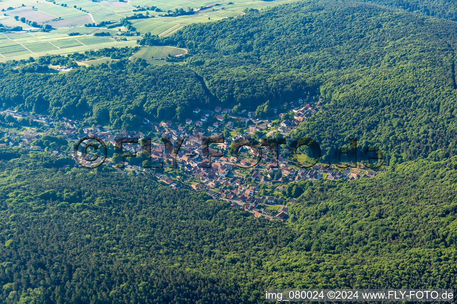 Dörrenbach in the state Rhineland-Palatinate, Germany from the drone perspective