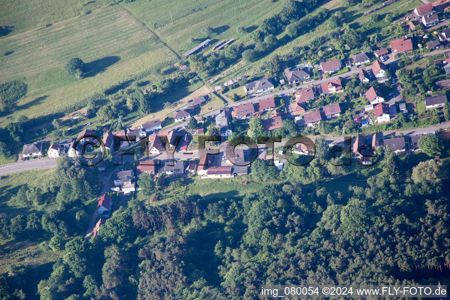 Bird's eye view of Birkenhördt in the state Rhineland-Palatinate, Germany