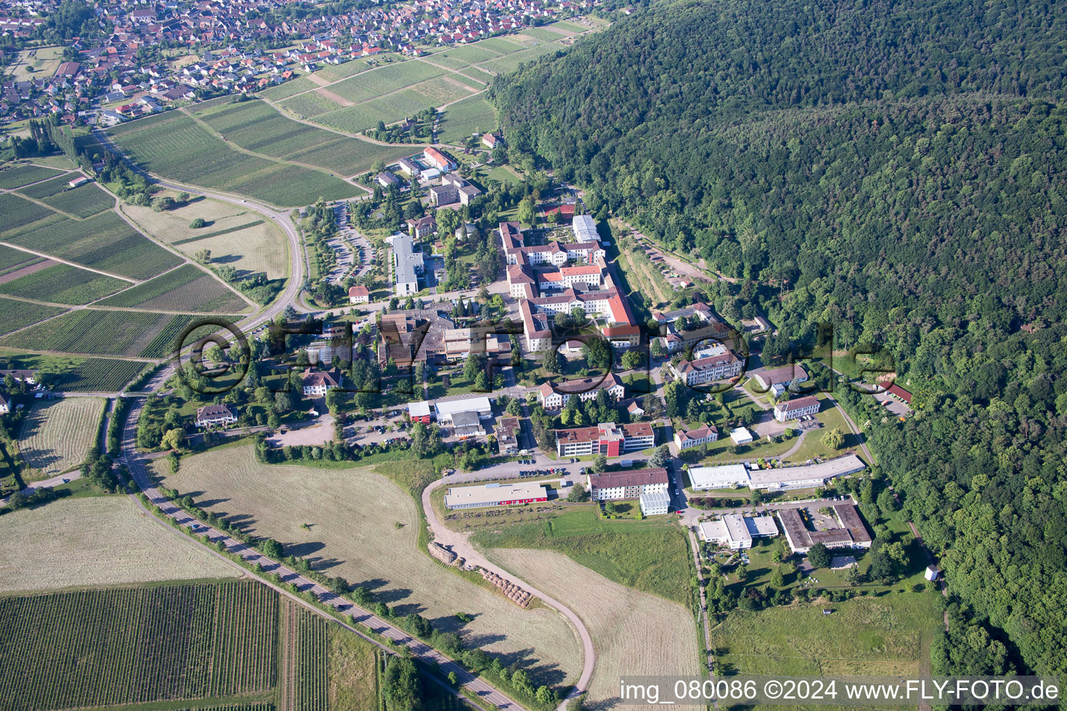 Klingenmünster in the state Rhineland-Palatinate, Germany from above