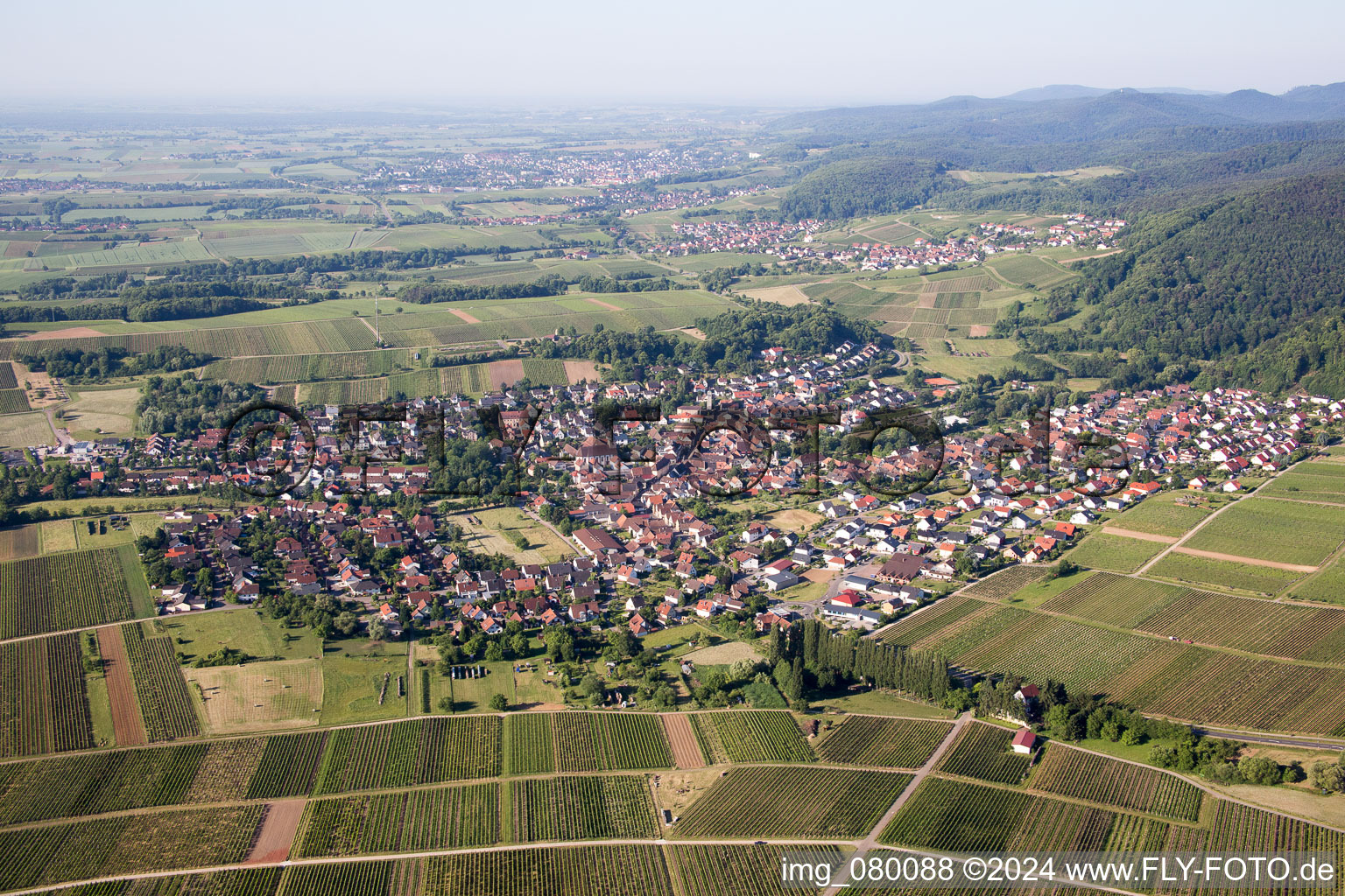 Klingenmünster in the state Rhineland-Palatinate, Germany seen from above