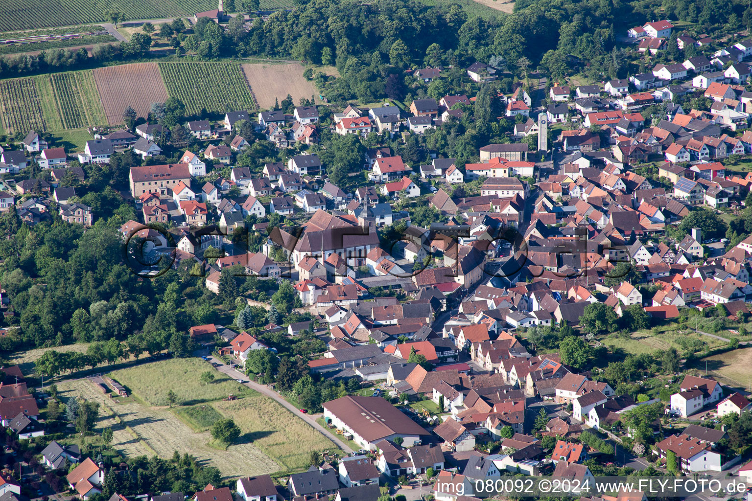 Klingenmünster in the state Rhineland-Palatinate, Germany from the plane