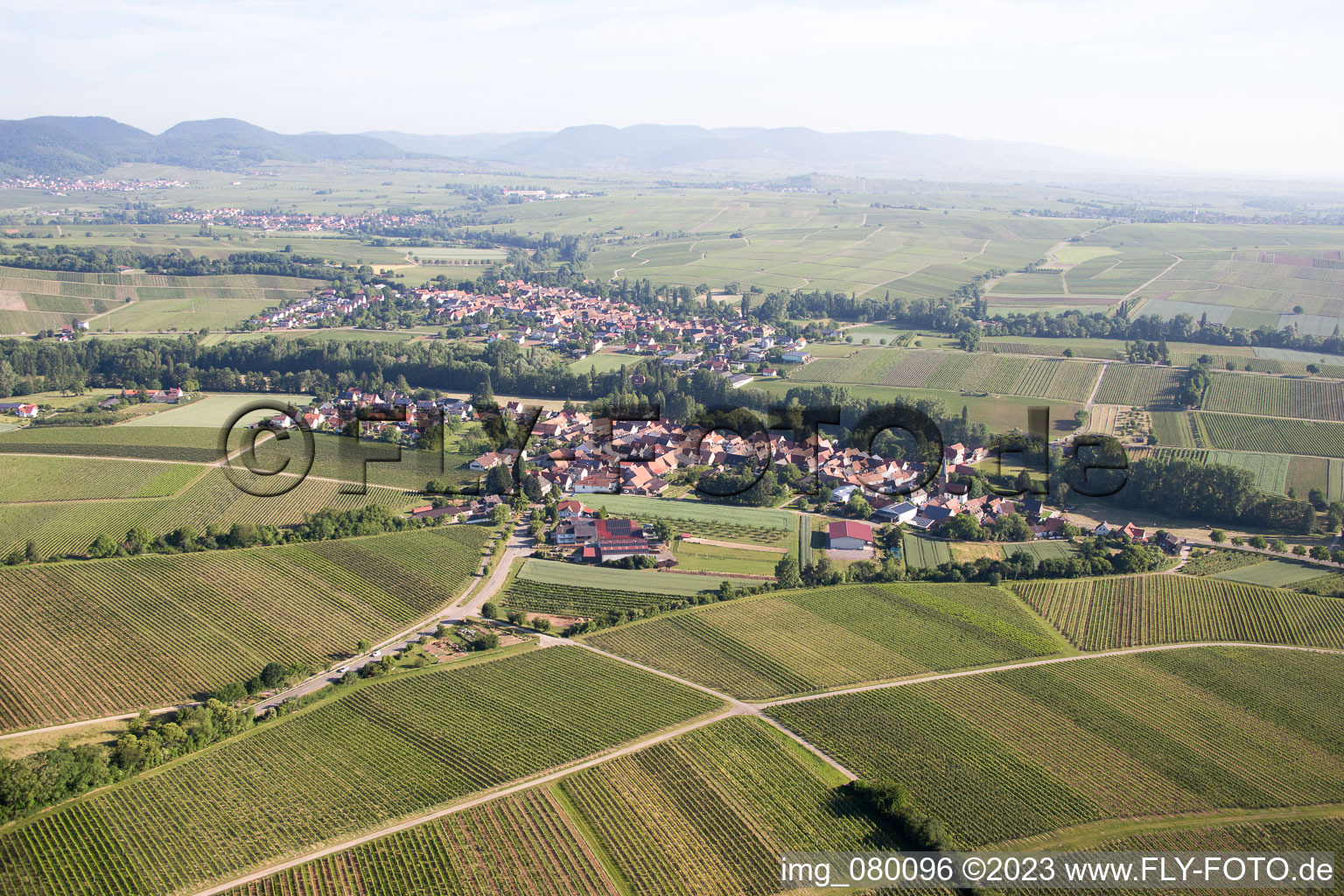Oblique view of District Klingen in Heuchelheim-Klingen in the state Rhineland-Palatinate, Germany