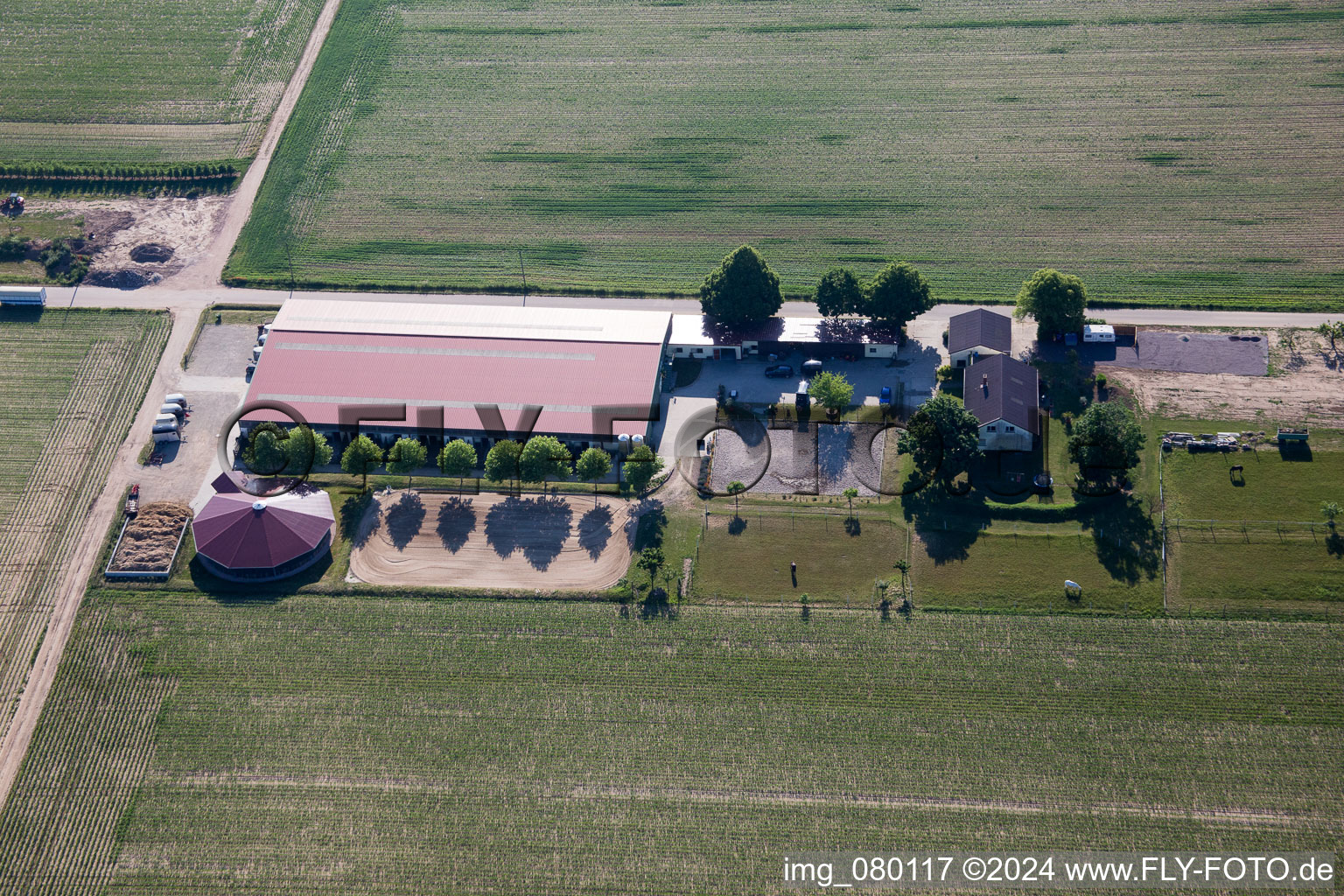 Steinweiler in the state Rhineland-Palatinate, Germany from a drone