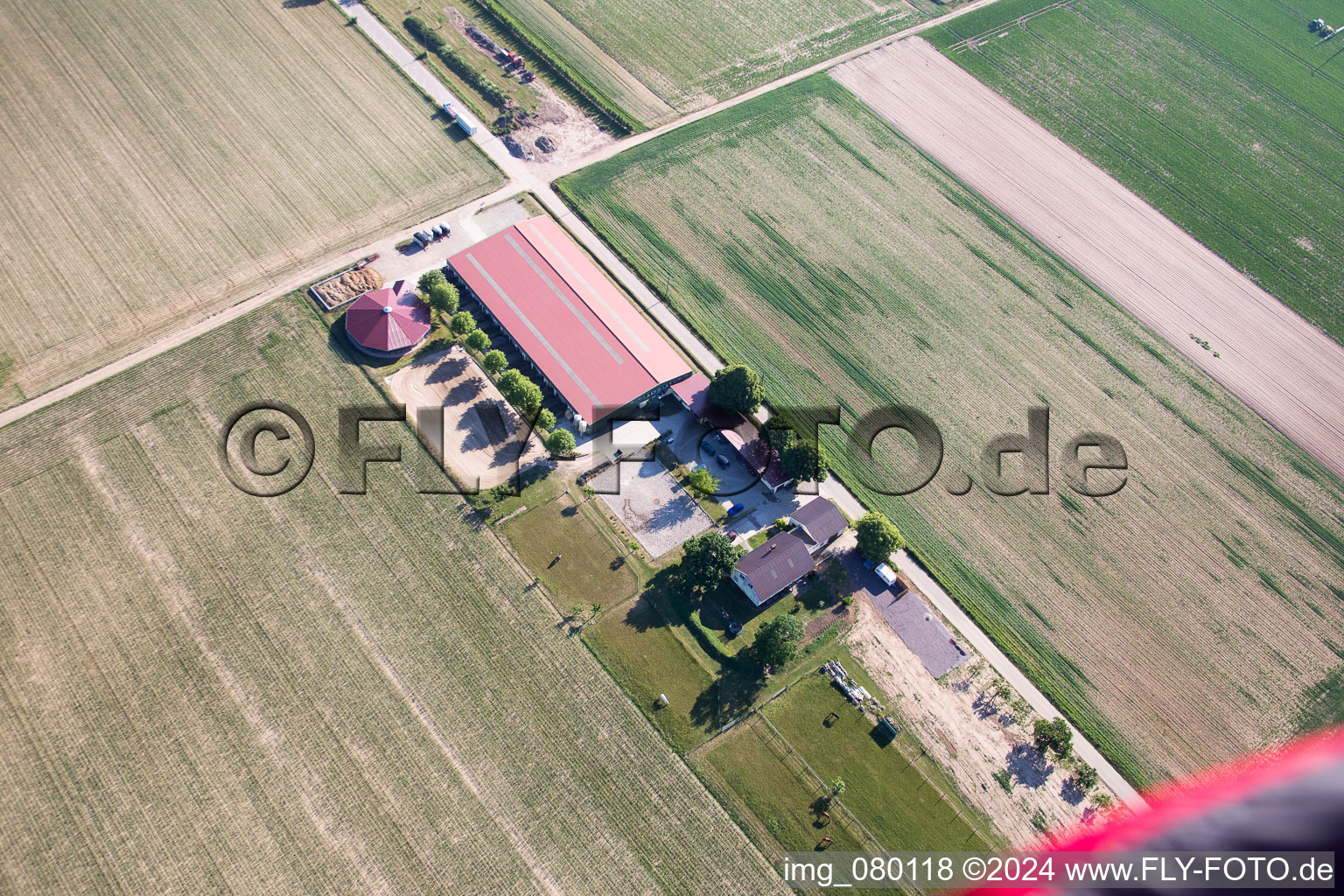 Steinweiler in the state Rhineland-Palatinate, Germany seen from a drone