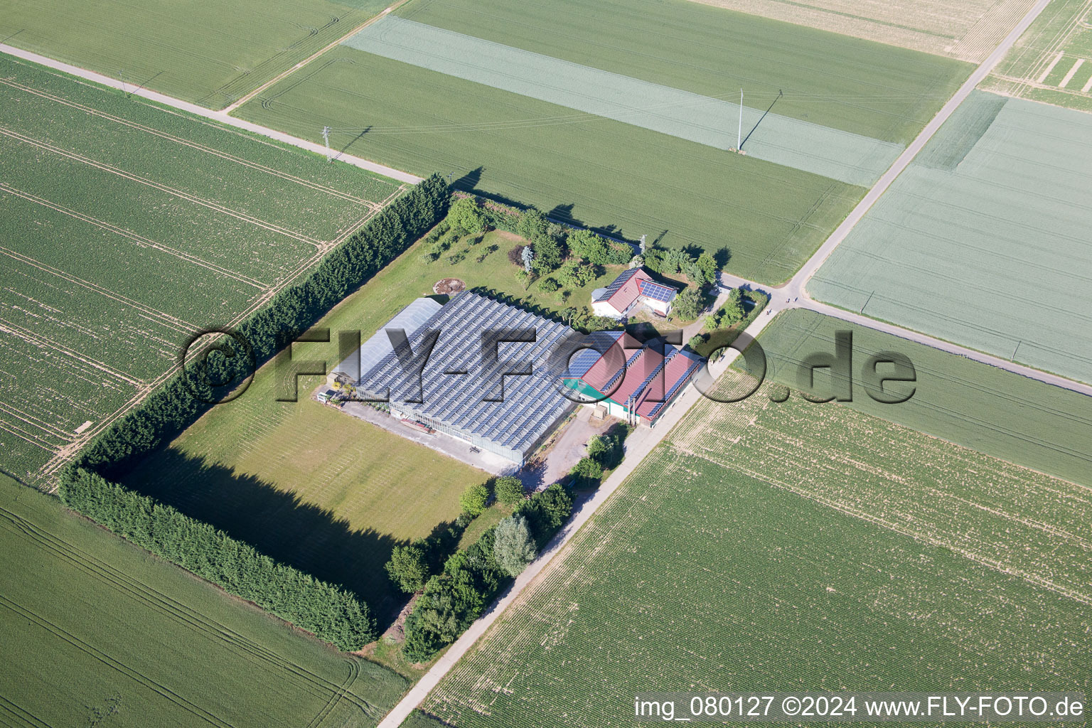 Steinweiler in the state Rhineland-Palatinate, Germany seen from above