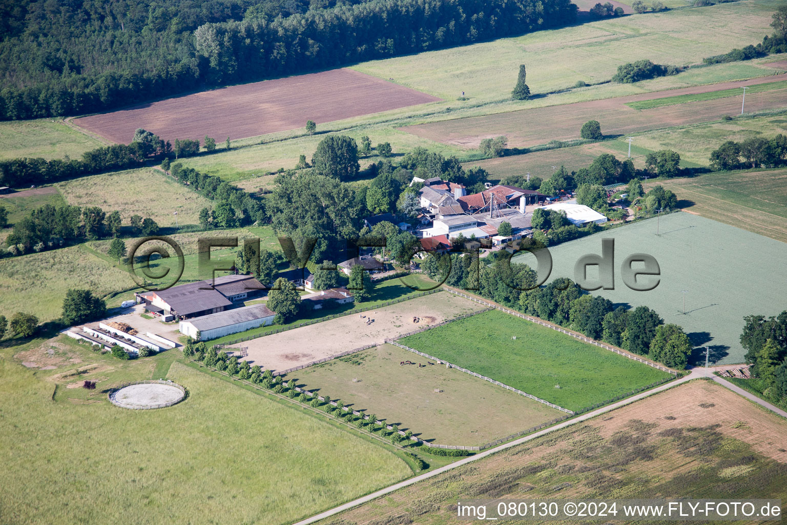 Bird's eye view of Steinweiler in the state Rhineland-Palatinate, Germany