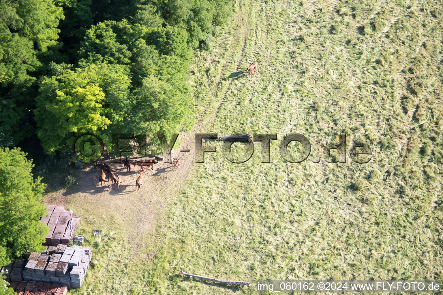 Bird's eye view of Neewiller-près-Lauterbourg in the state Bas-Rhin, France