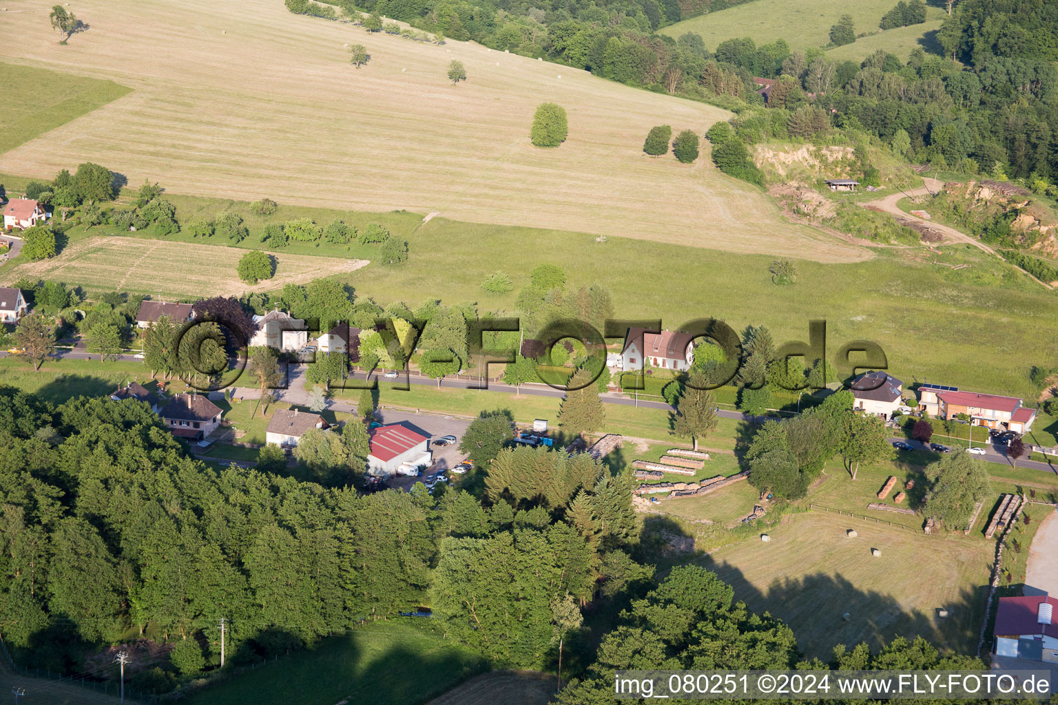 Lembach in the state Bas-Rhin, France seen from above