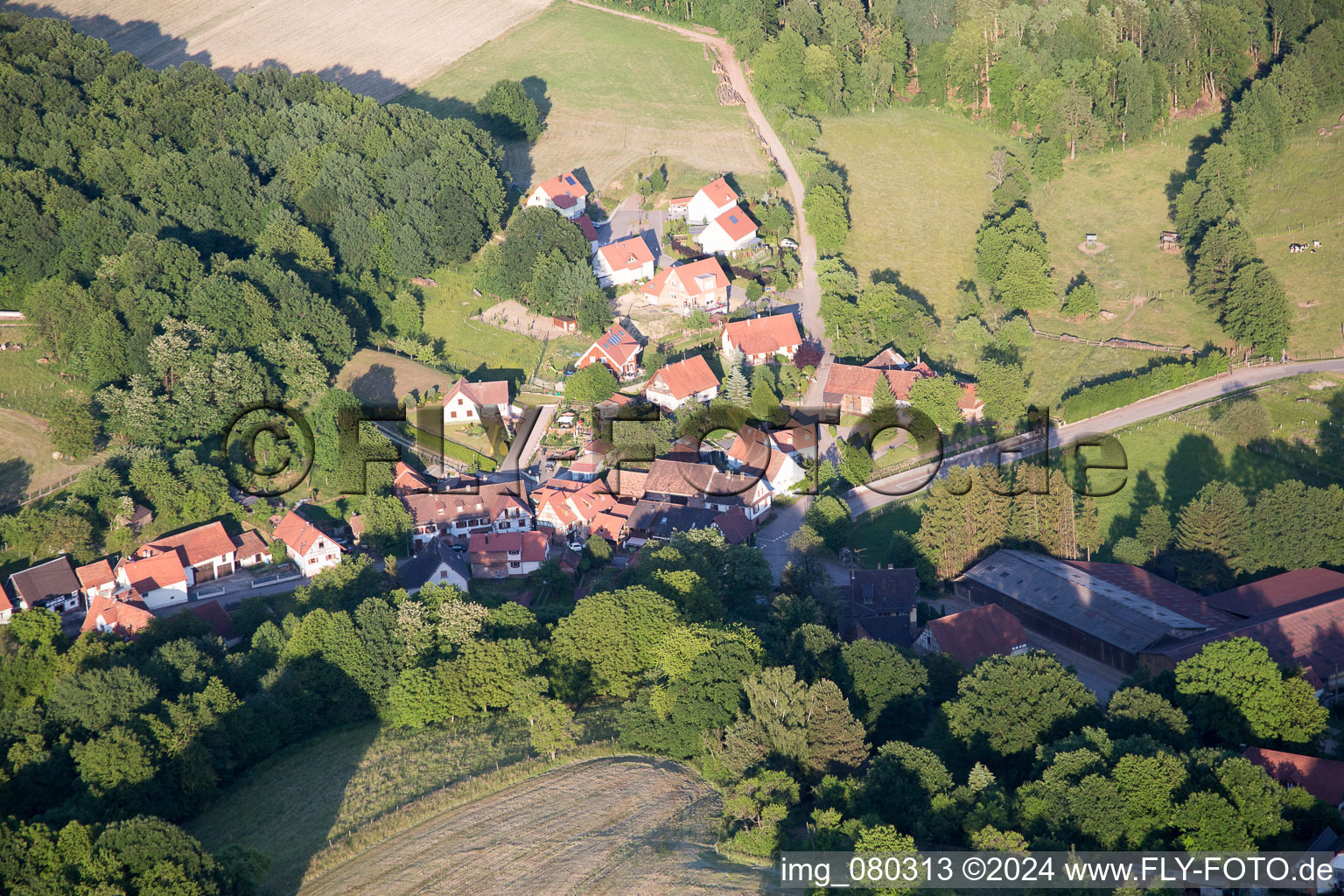 Wingen in the state Bas-Rhin, France from the plane