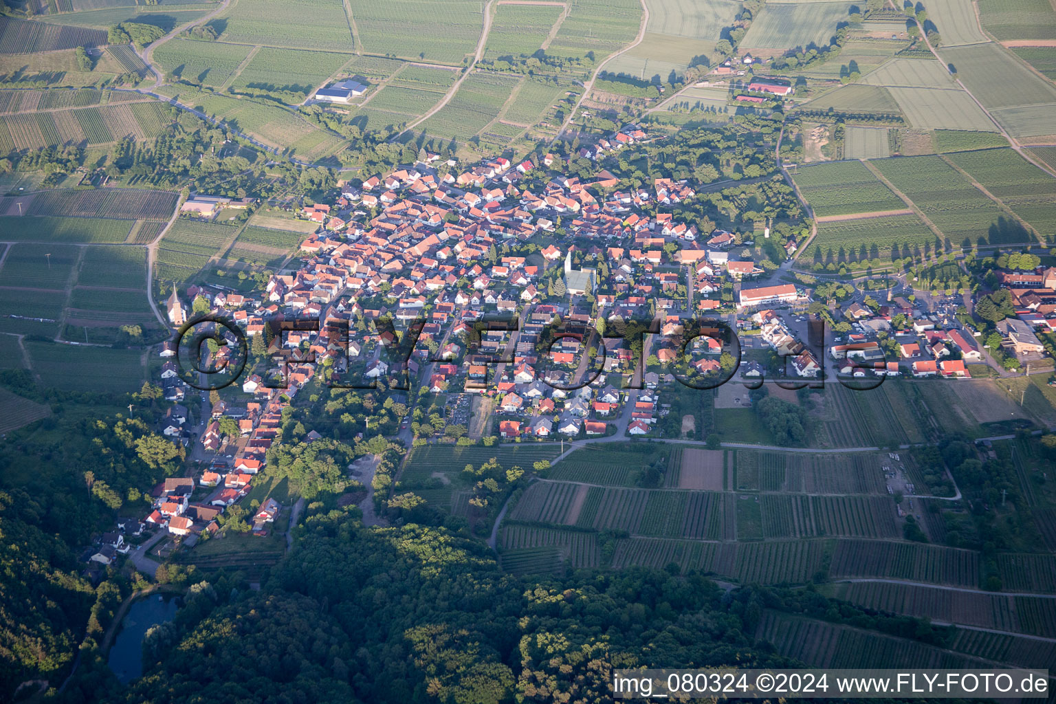 Aerial view of District Schweigen in Schweigen-Rechtenbach in the state Rhineland-Palatinate, Germany