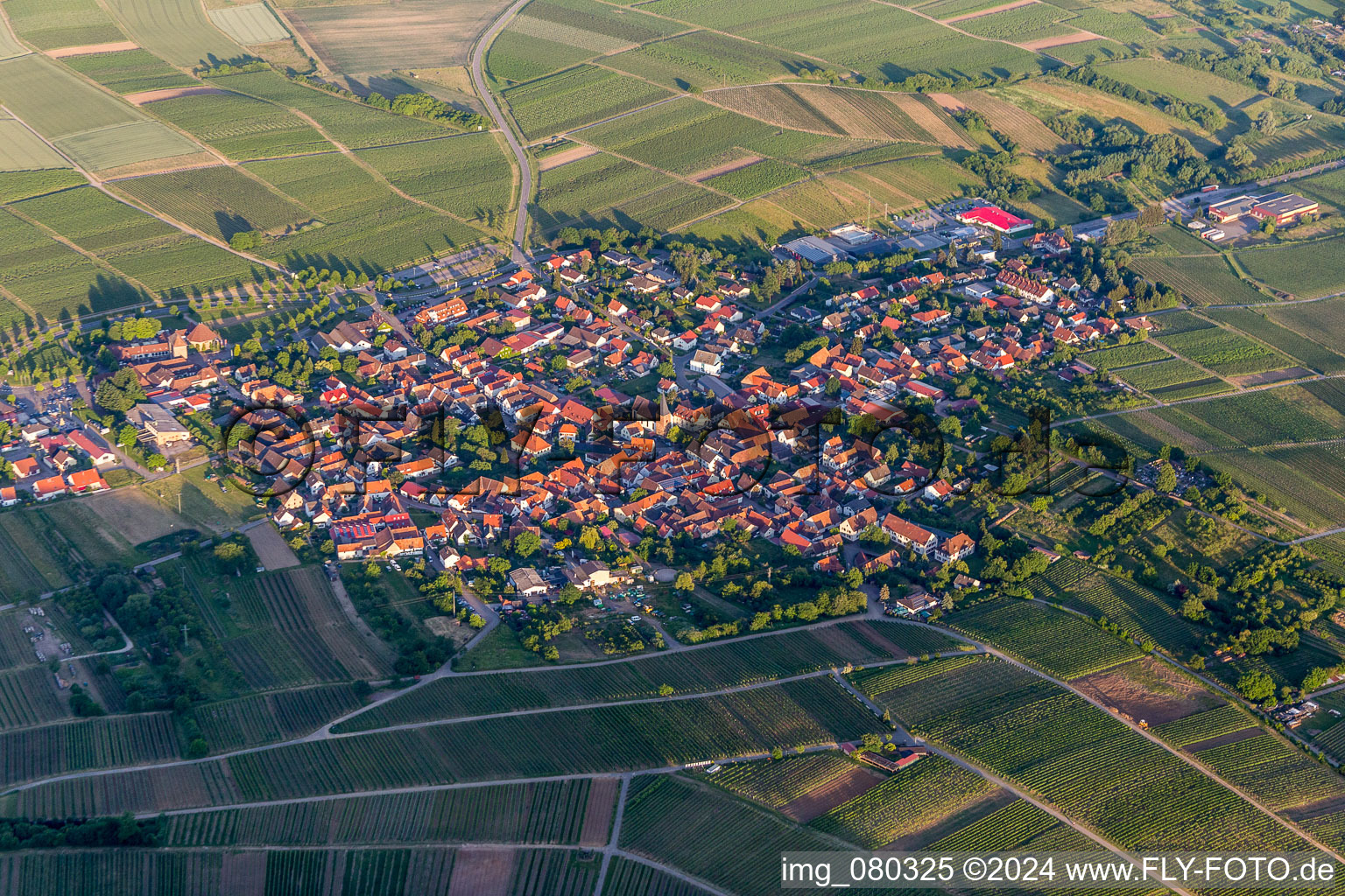 Village - view on the edge of wine yards in Schweigen in the state Rhineland-Palatinate, Germany