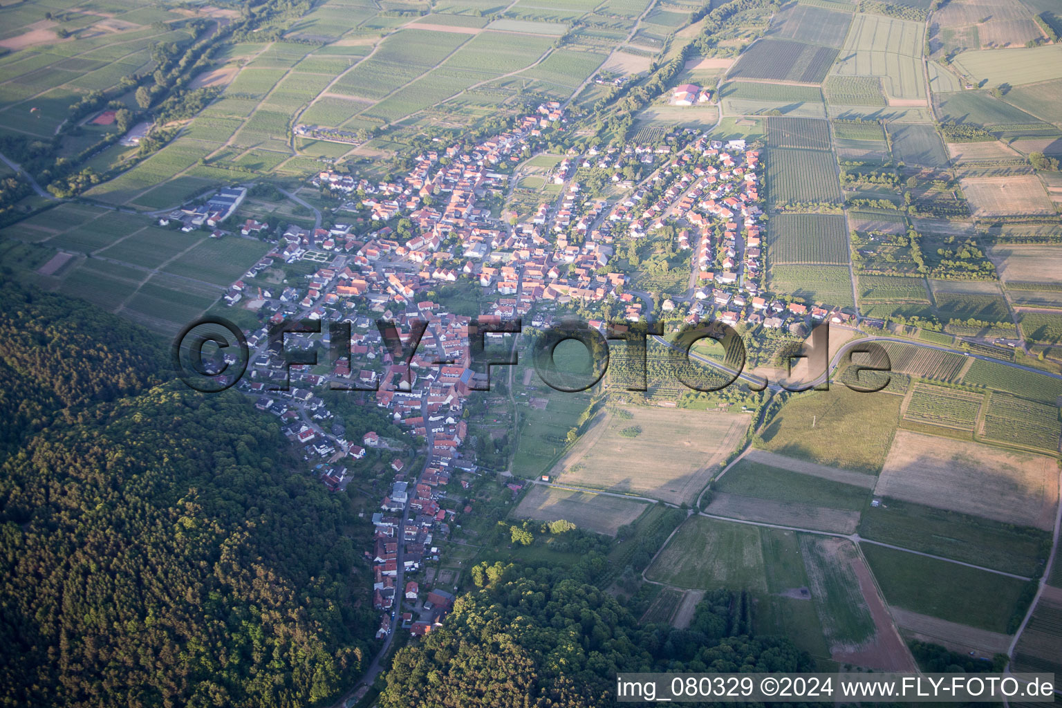 Bird's eye view of Oberotterbach in the state Rhineland-Palatinate, Germany