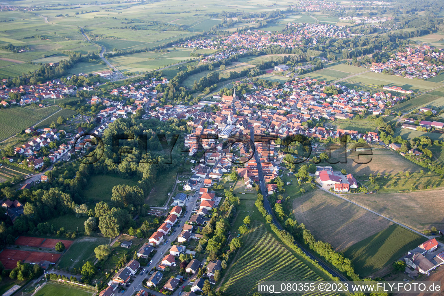 District Ingenheim in Billigheim-Ingenheim in the state Rhineland-Palatinate, Germany seen from a drone