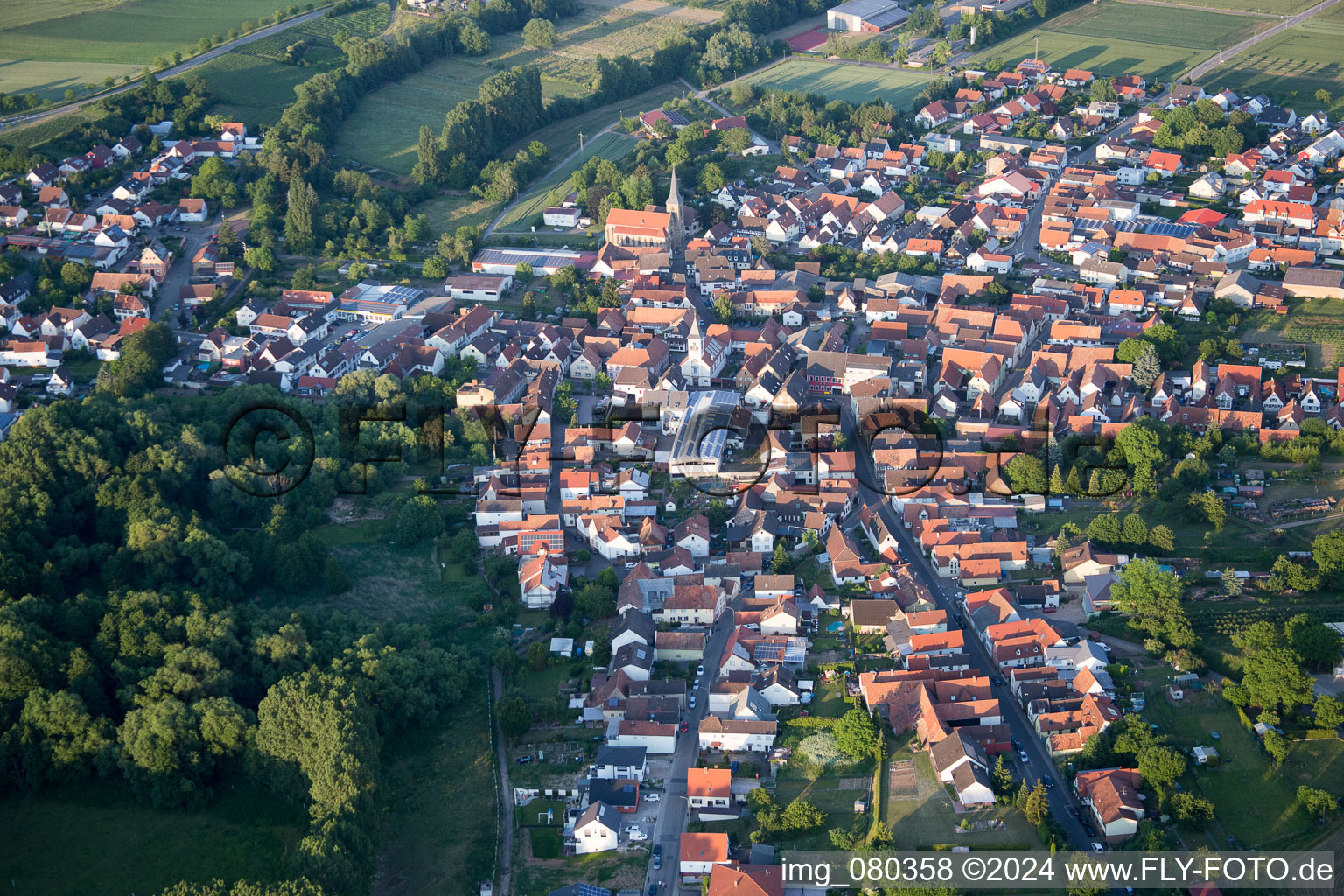 Oblique view of District Ingenheim in Billigheim-Ingenheim in the state Rhineland-Palatinate, Germany