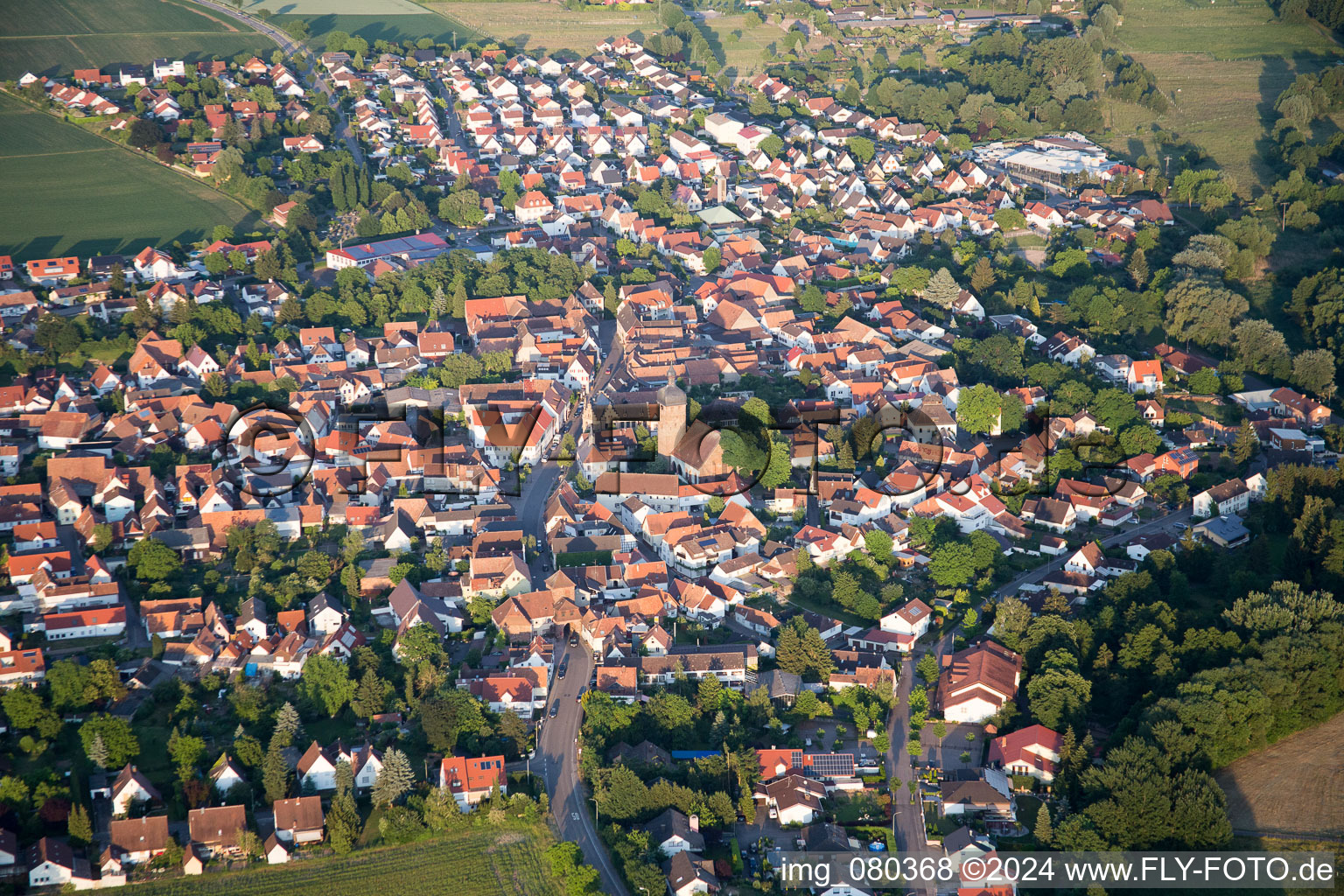 District Billigheim in Billigheim-Ingenheim in the state Rhineland-Palatinate, Germany out of the air