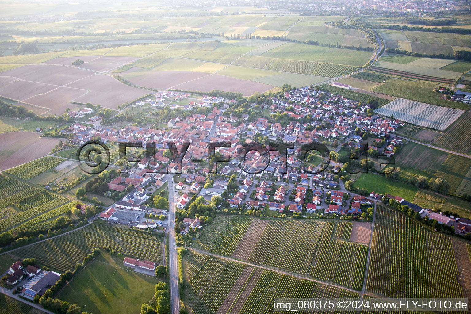 Aerial view of Impflingen in the state Rhineland-Palatinate, Germany